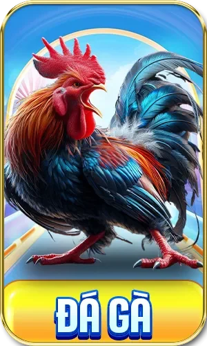 Đá gà lc88