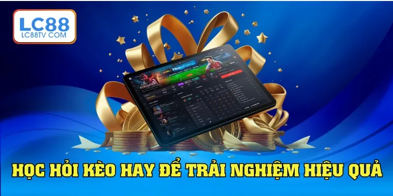Học hỏi kèo hay để trải nghiệm hiệu quả